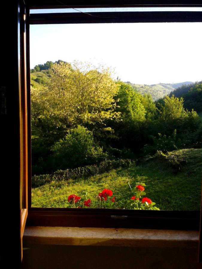 Agriturismo Il Casale Pica Posta Zewnętrze zdjęcie