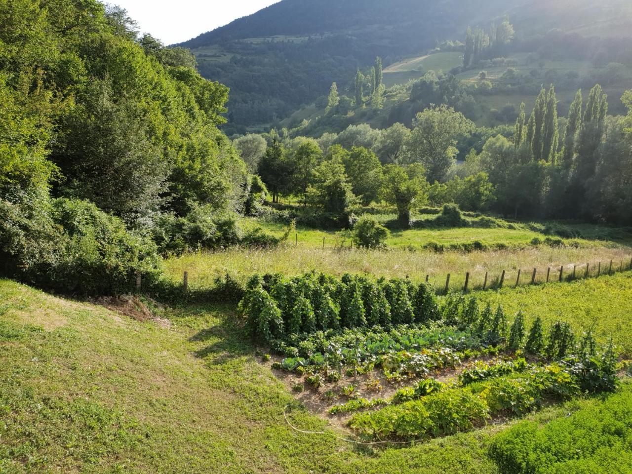Agriturismo Il Casale Pica Posta Zewnętrze zdjęcie