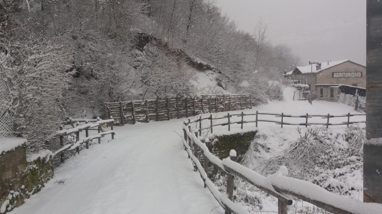 Agriturismo Il Casale Pica Posta Zewnętrze zdjęcie