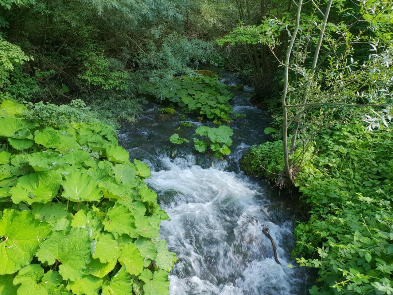 Agriturismo Il Casale Pica Posta Zewnętrze zdjęcie